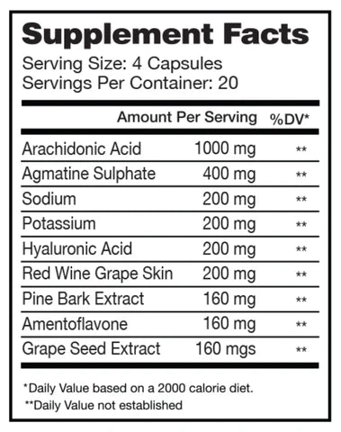 I-Prevail PUMP X V2 – 20 Servings